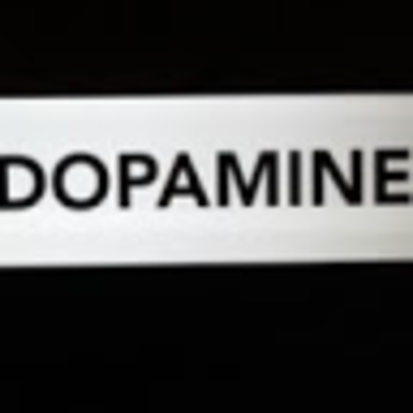 Meet your Posher, Emile - Picture 1 of 1